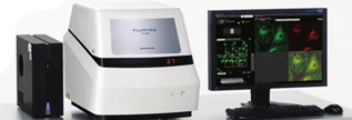 OLYMPUS FV 10I