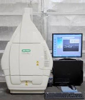ChemiDoc XRS