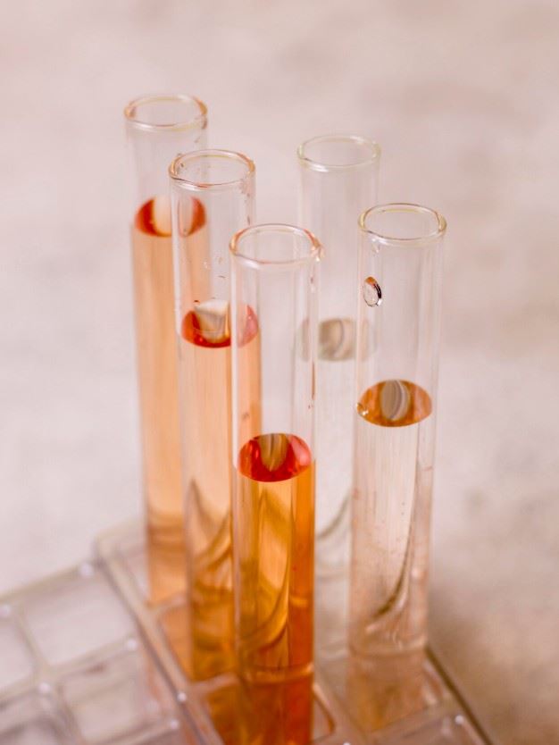 Test tubes containing colored liquids