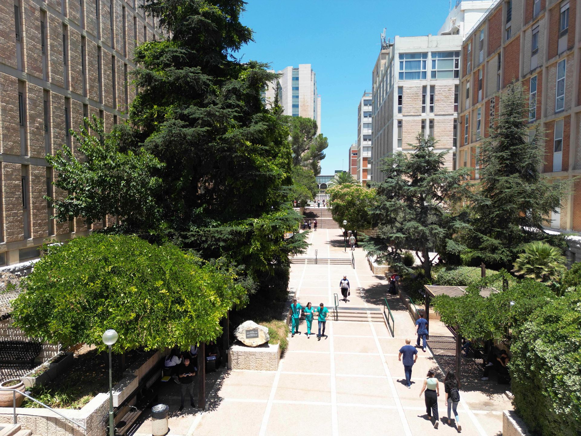 School of Medicine 