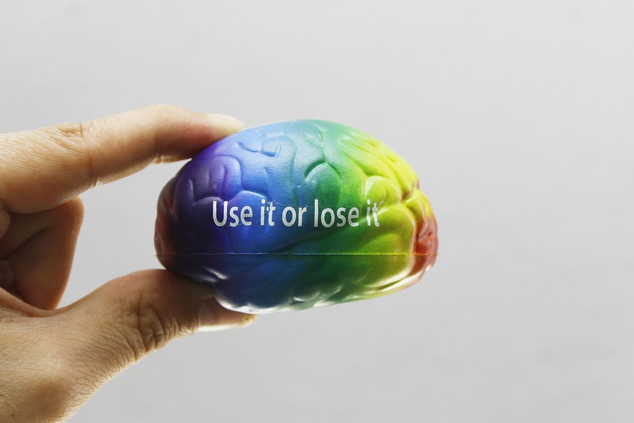 brain toy with text - "use it or lose it"
